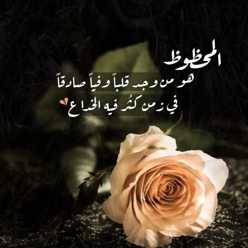 صورة الملف الشخصي لـ Sara Mohammed