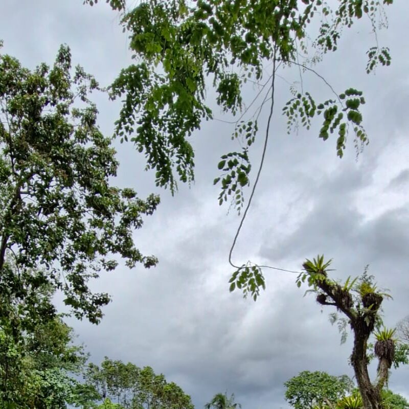 صورة الملف الشخصي لـ محمد عثمان يوسف