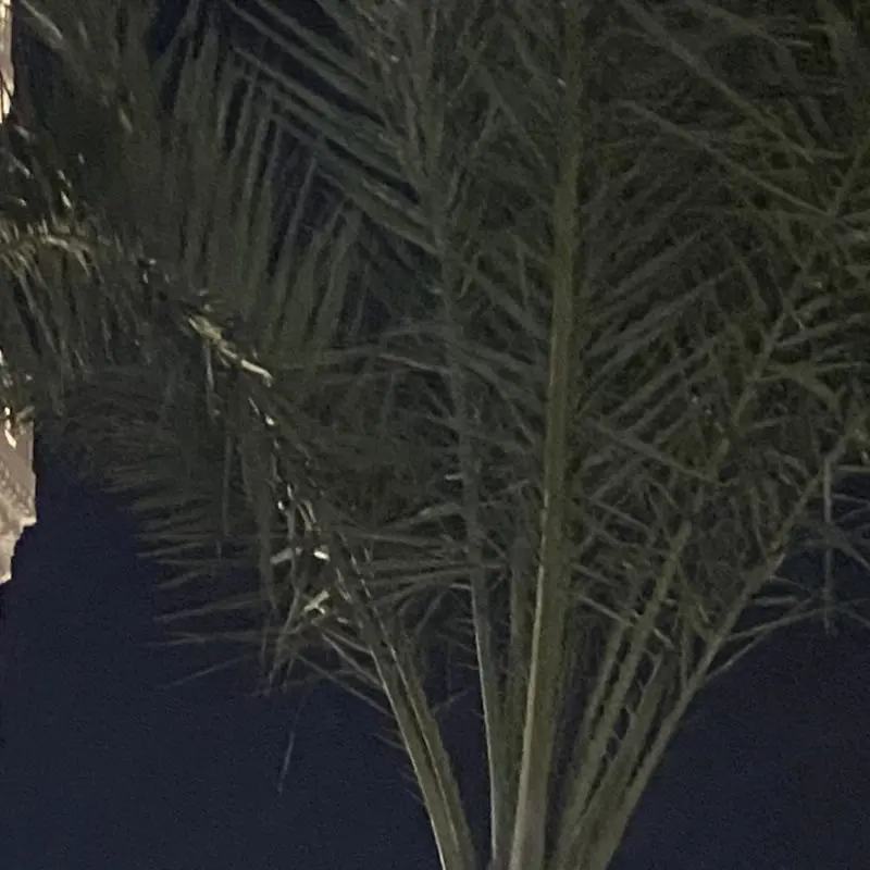 صورة الملف الشخصي لـ أبو عبدالرحمن أدم