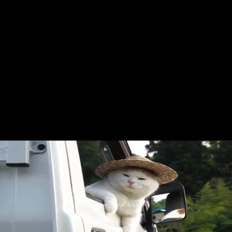 صورة الملف الشخصي لـ فرح