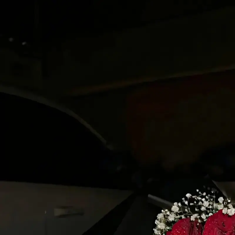 صورة الملف الشخصي لـ روان علي حسن