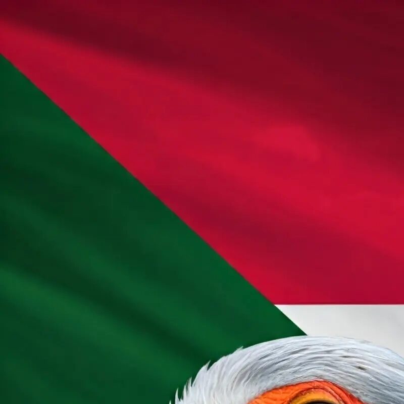 صورة الملف الشخصي لـ غسان عزالدين