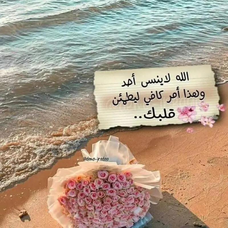 صورة الملف الشخصي لـ نور الشمس