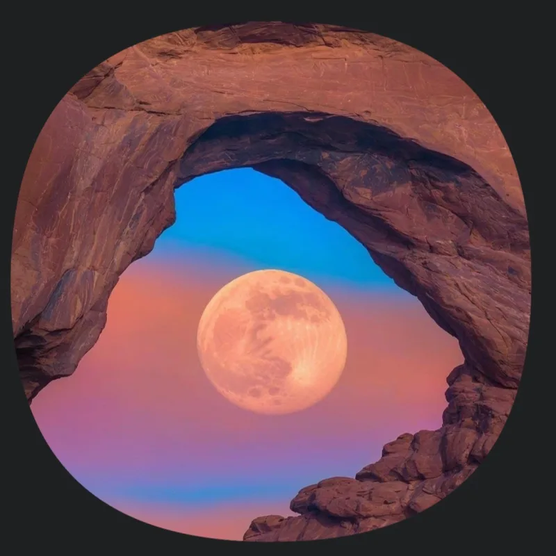 صورة الملف الشخصي لـ الرفقه الصالحه