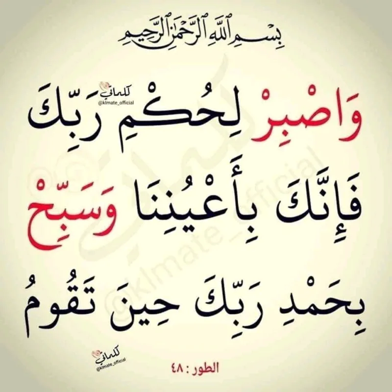 صورة الملف الشخصي لـ Marwa Omer