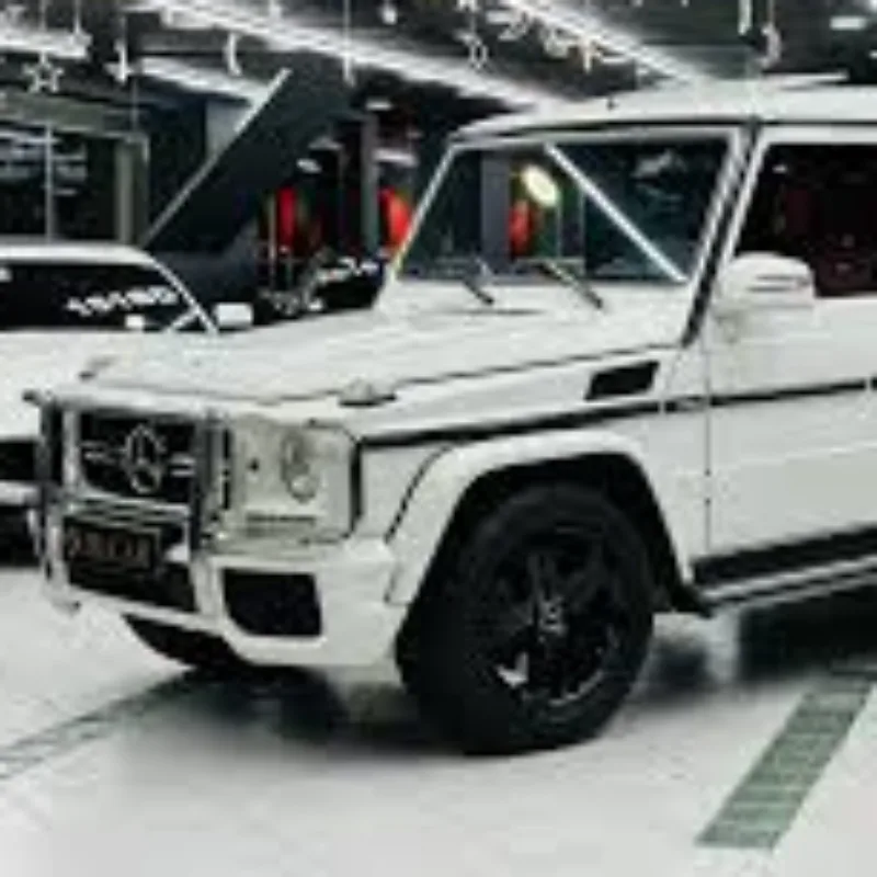 صورة الملف الشخصي لـ المشمر