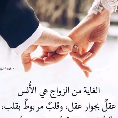 صورة الملف الشخصي لـ الرشيد