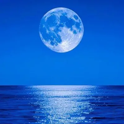 صورة الملف الشخصي لـ عصي الدمع